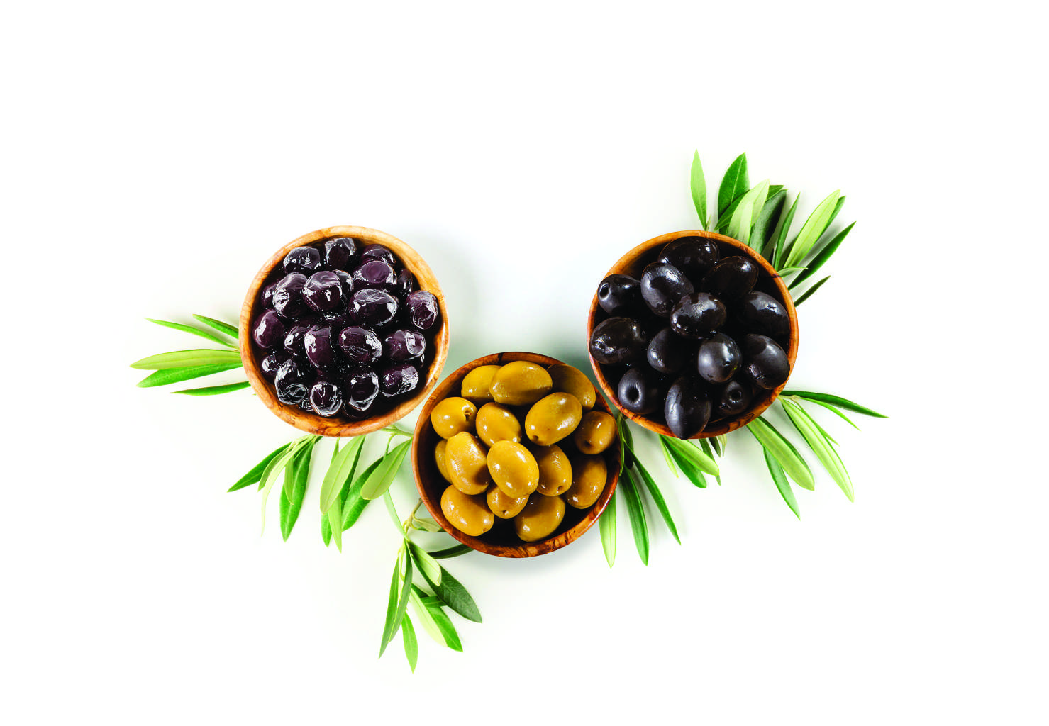 Ferzan Gıda zeytin ürünleri